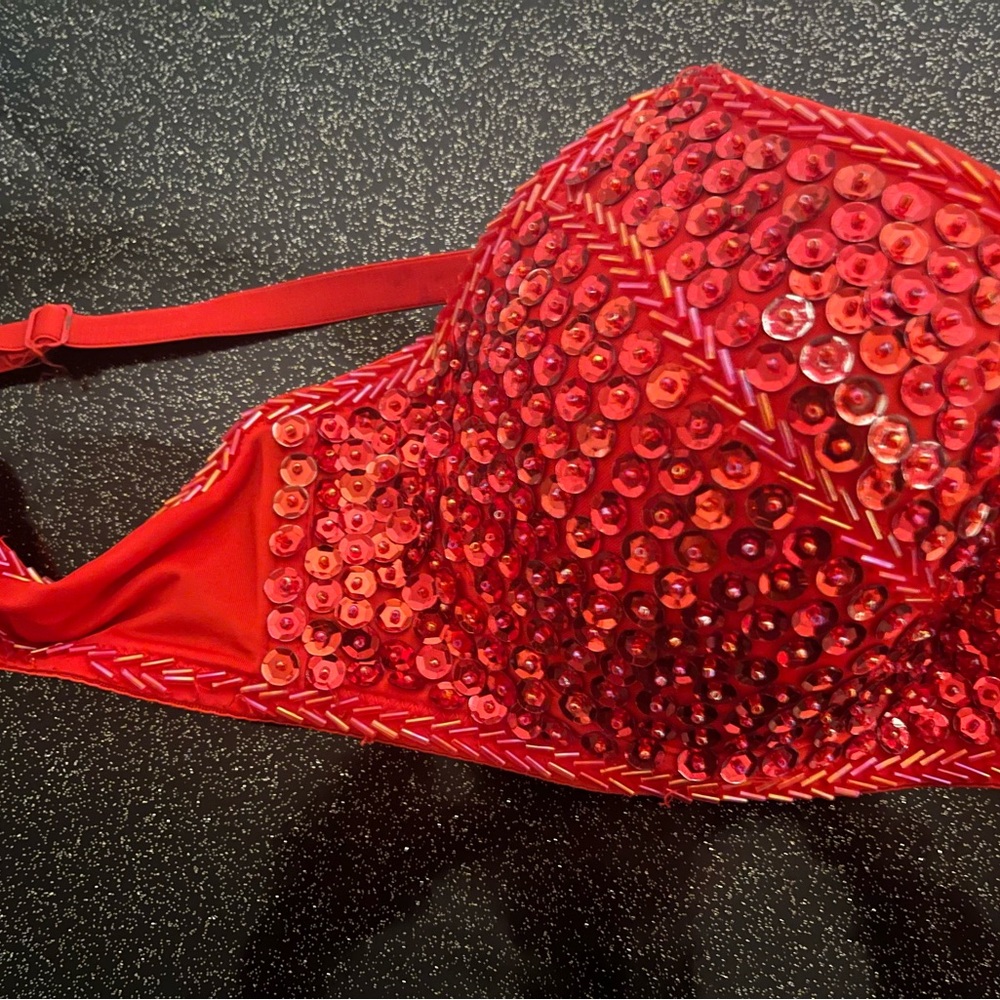 Red Sequin Embellished Bra - Picture 3 of 9